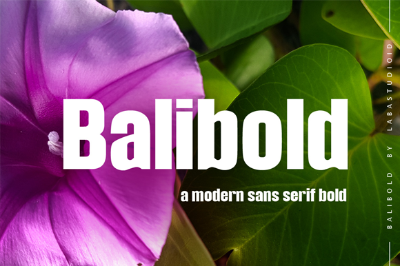 Balibold