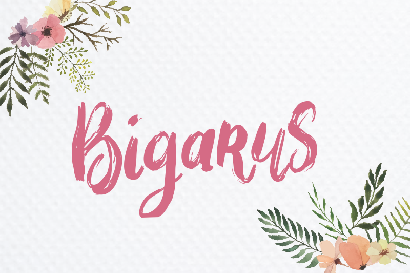 Bigarus