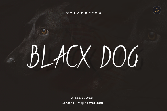 BLacx Dog