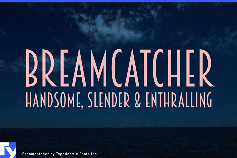 Breamcatcher