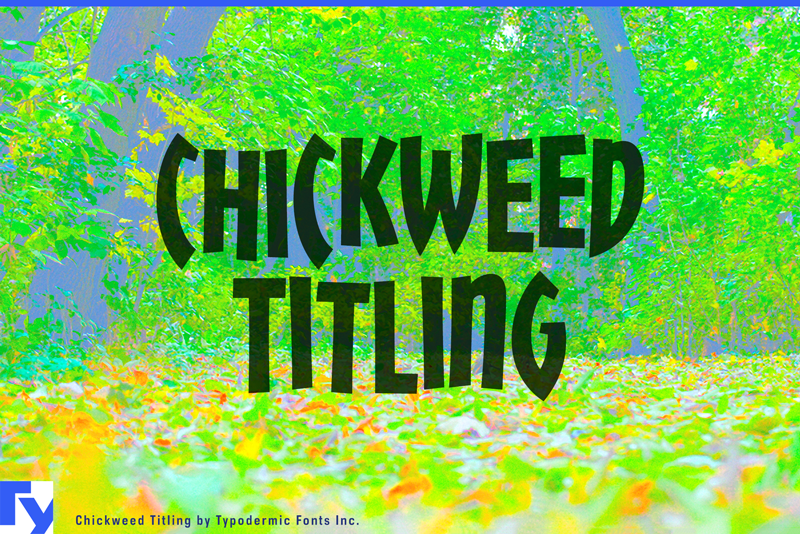 Chickweed Titling