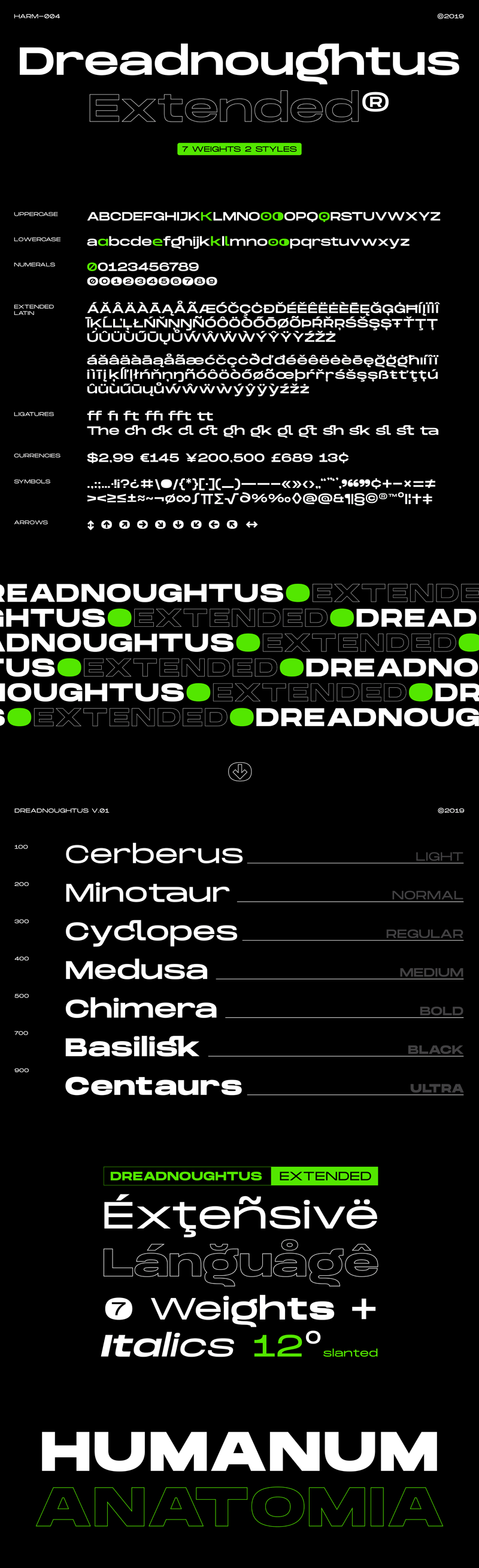 Dreadnoughtus Medium