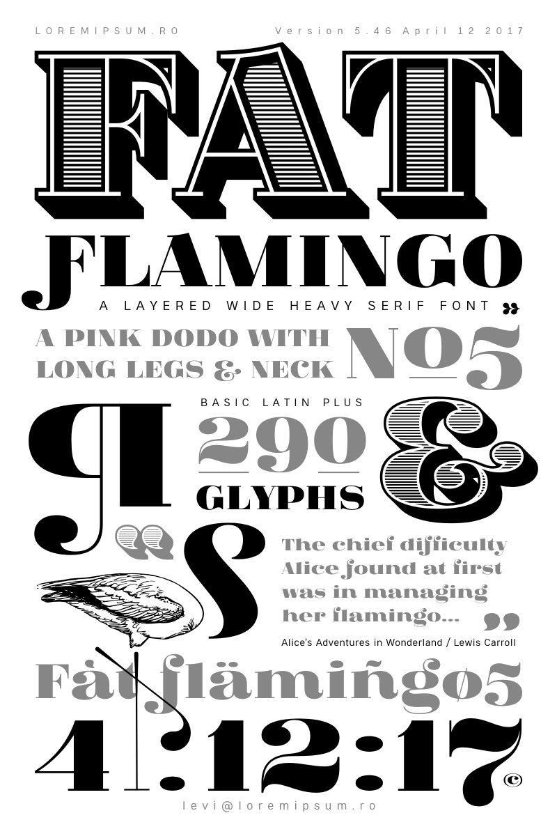 Fat Flamingo5