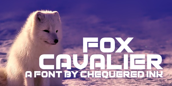 Fox Cavalier