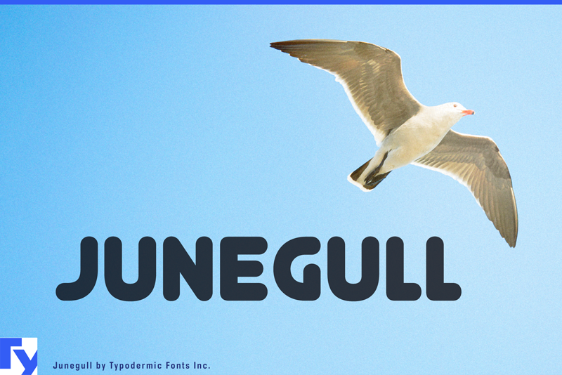 Junegull