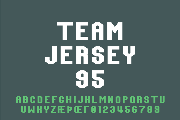 Team Jersey 95 Demo