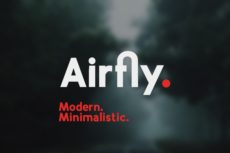 Airfly DEMO