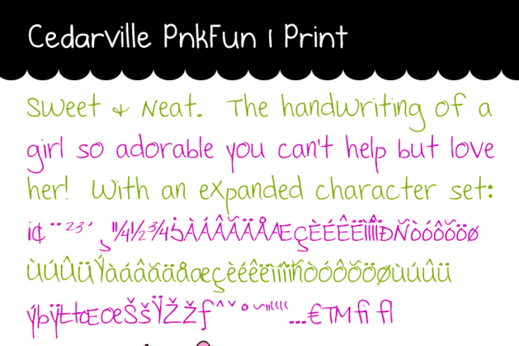 Cedarville Pnkfun 1 Print