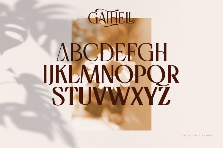 Gathell Thin