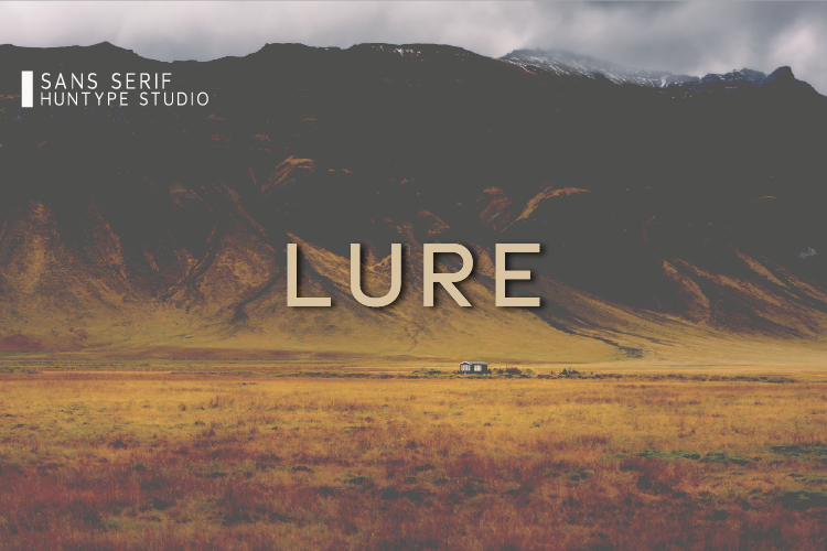 Lure