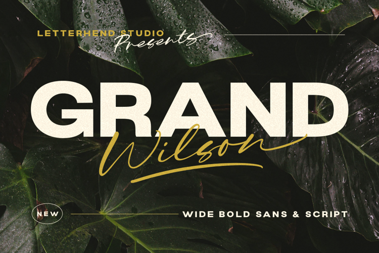 Grand Wilson Sans DEMO