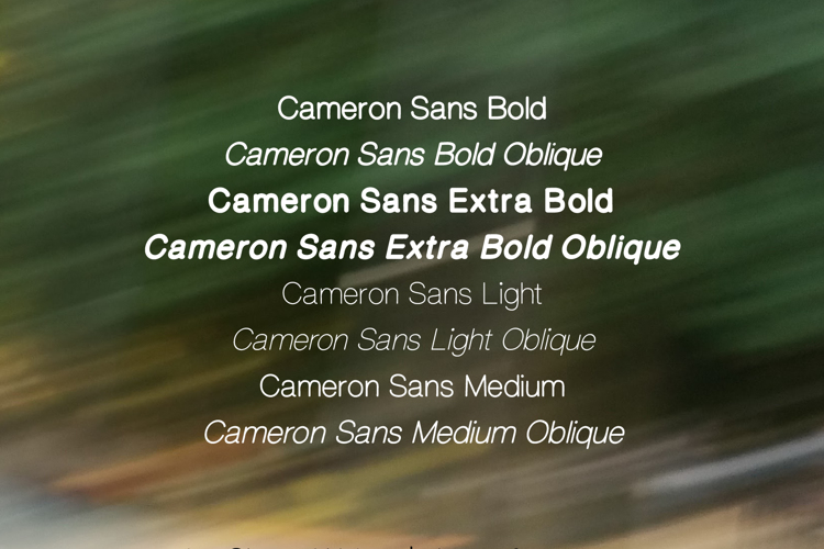 CameronSans