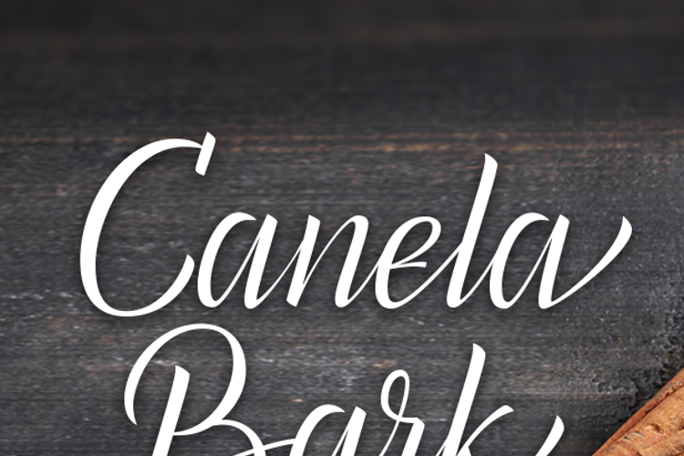 Canela Bark Bold PERSONAL USE