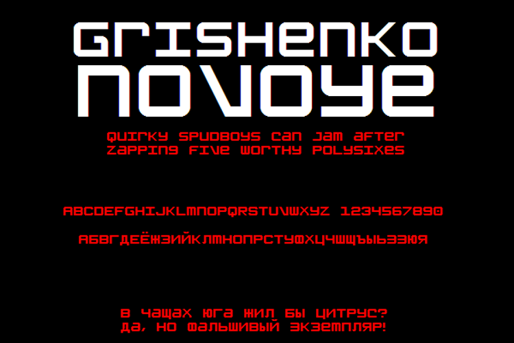 Grishenko Novoye NBP