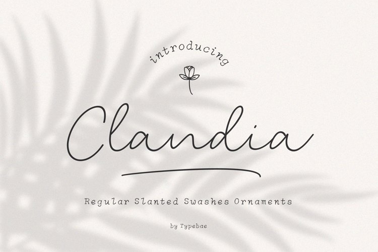 Clandia Script