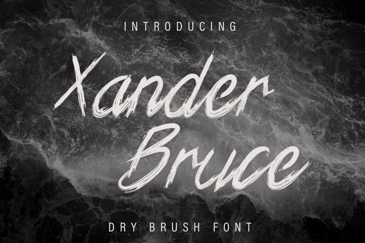 Xander Bruce Demo