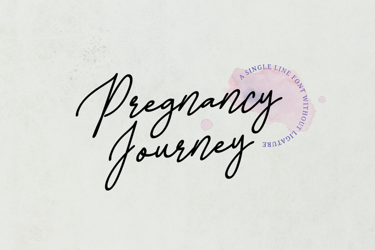 Pregnancy Journey