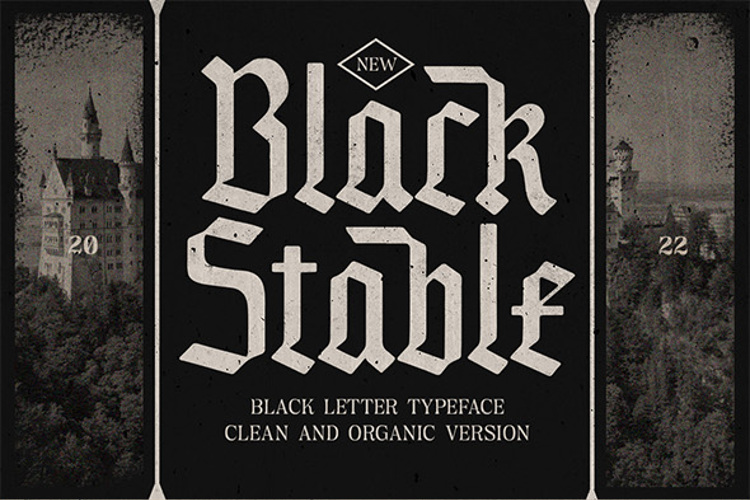 Black Stable Organic Demo