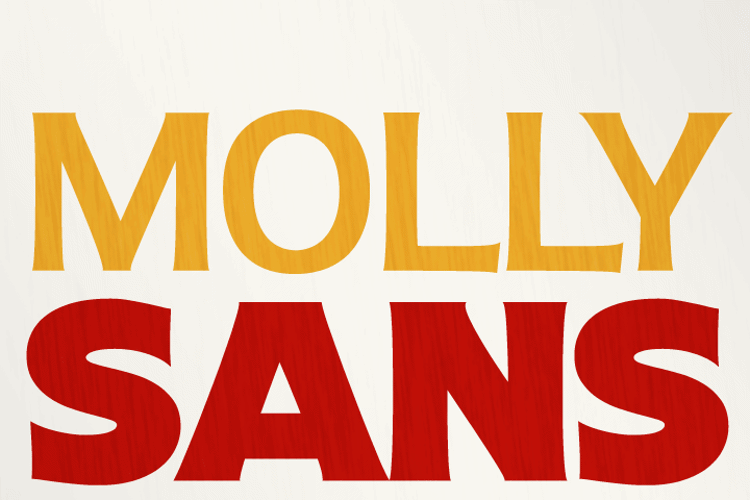 Molly Sans C PERSONAL