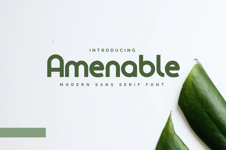 Amenable Personal Use