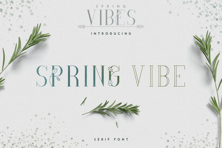 SpringVibe