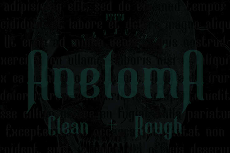 Aneloma Demo Rough