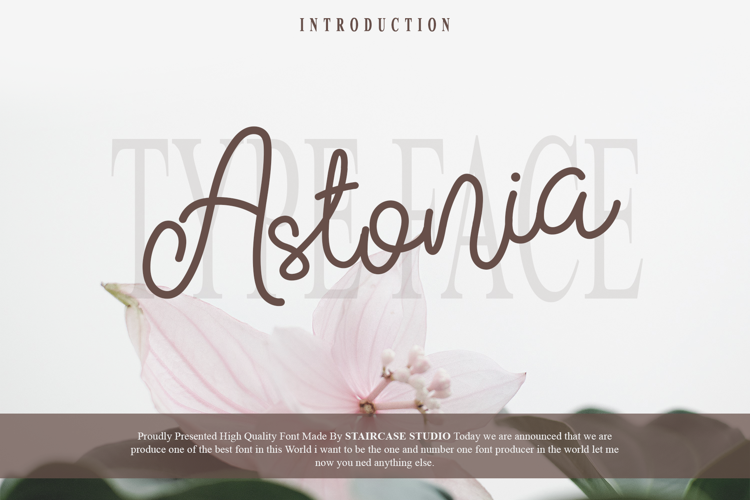 Astonia Italic