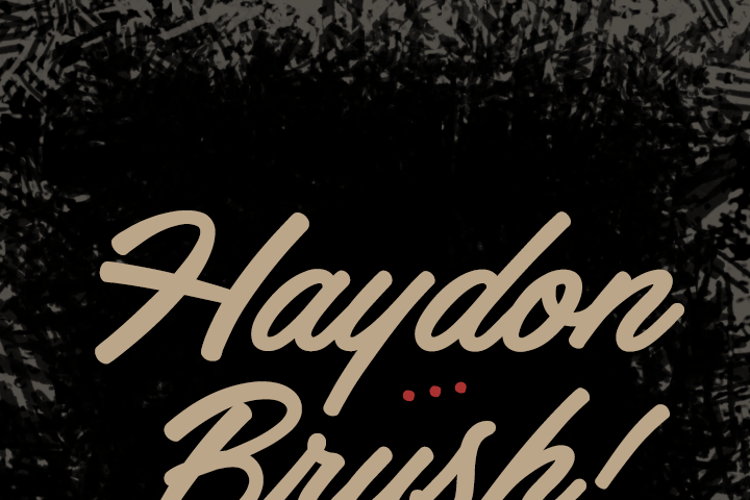 Haydon Brush PERSONAL USE