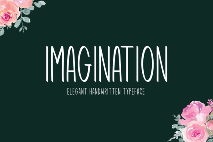 Imagination