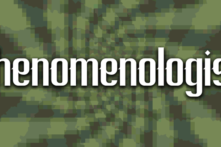 Phenomenologist