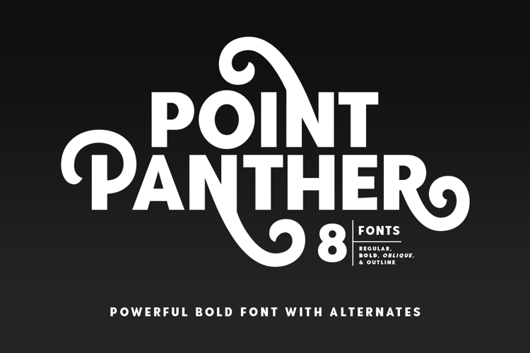 Point Panther DEMO