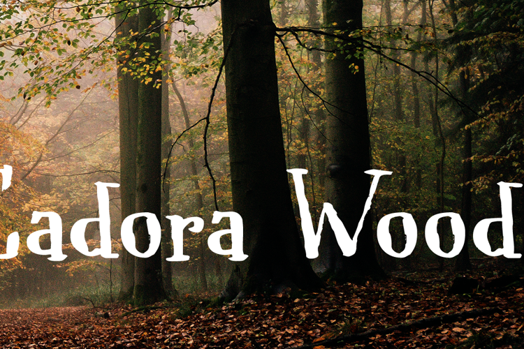 Cadora Woods DEMO