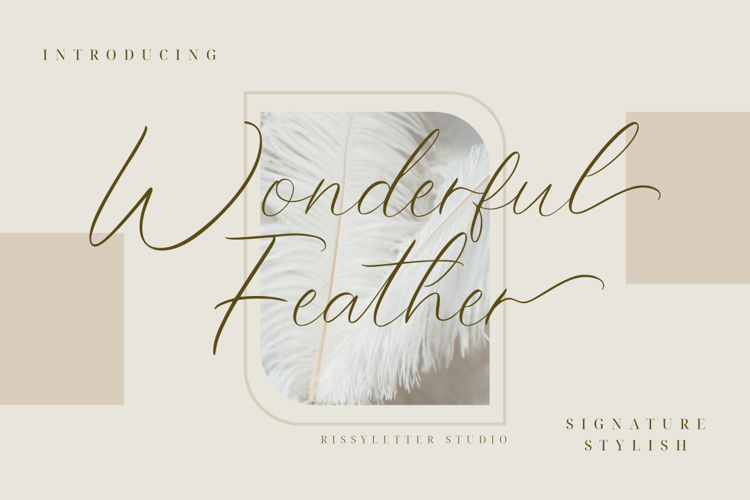 Wonderful_Feather