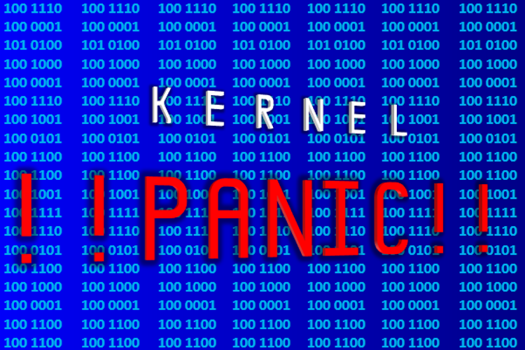 Kernel Panic NBP